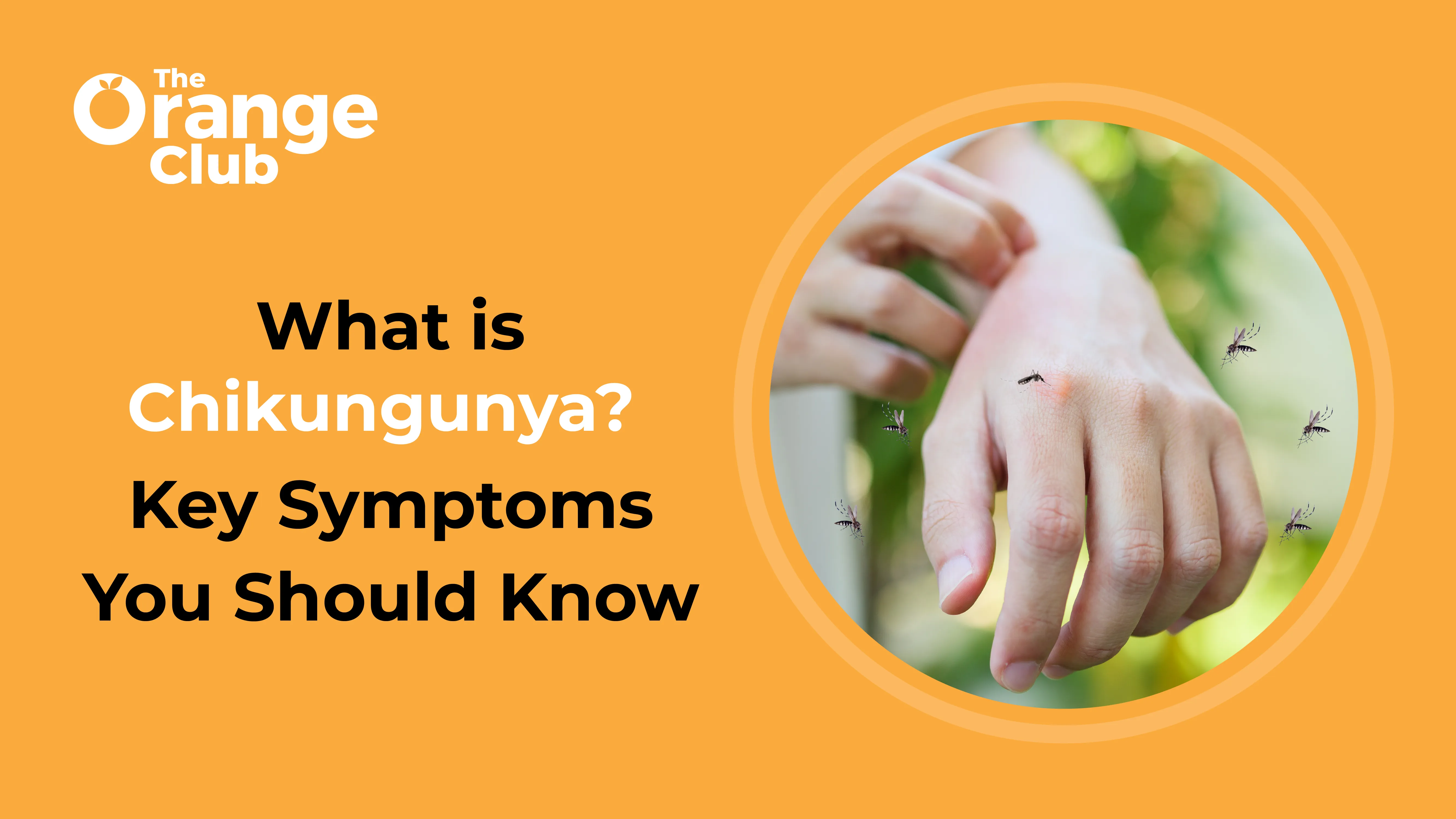 What is Chikungunya and What Are Its Symptoms?
